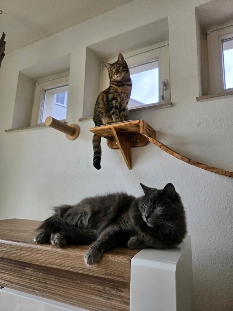 Bild hochgeladen von 𝖀𝖓pass𝖊𝖓𝖉