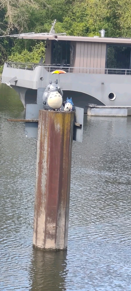 GIF hochgeladen von Carina