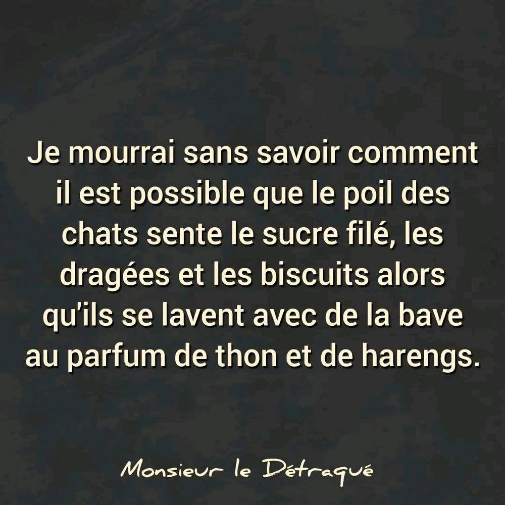 Image ajoutée par Stef