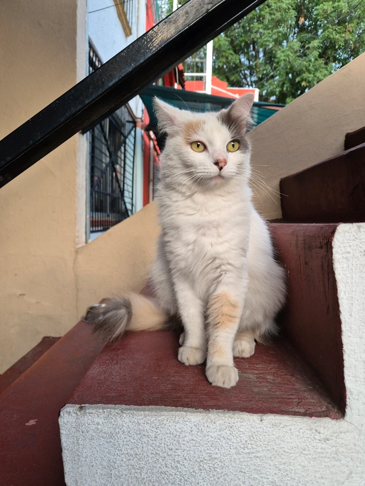 Imagen subida por Diego