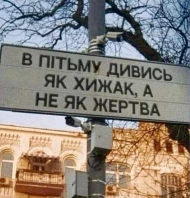 Гіфку завантажив Limmortale