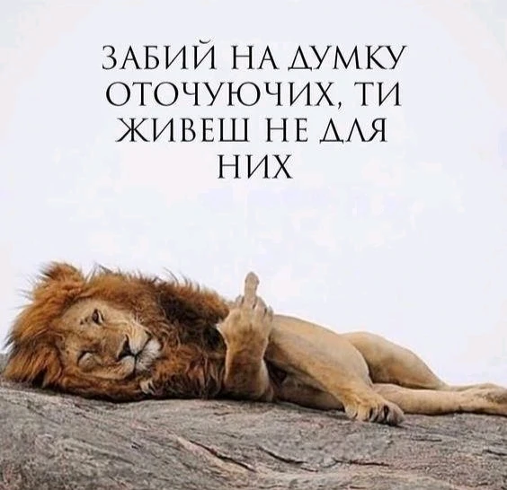 Гіфку завантажив Limmortale