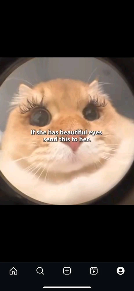 GIF uploaded by Kerman