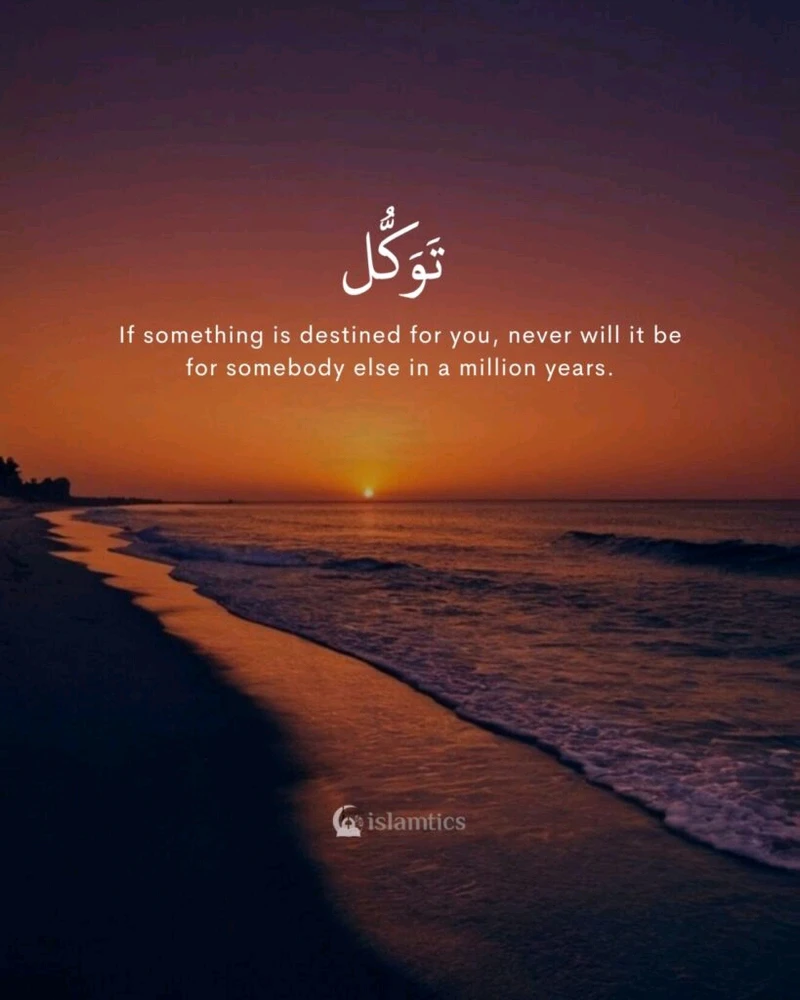 Image uploaded by Afit