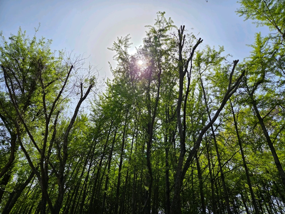 백구야님이 올린 사진