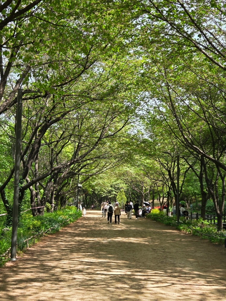 백구야님이 올린 사진