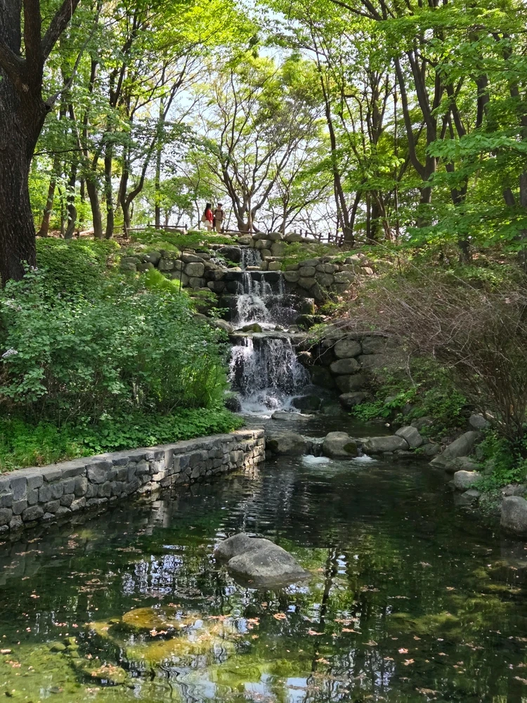 백구야님이 올린 사진