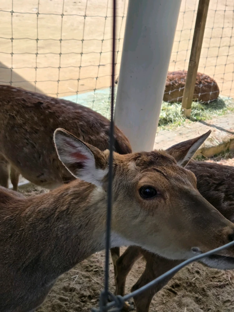 백구야님이 올린 사진
