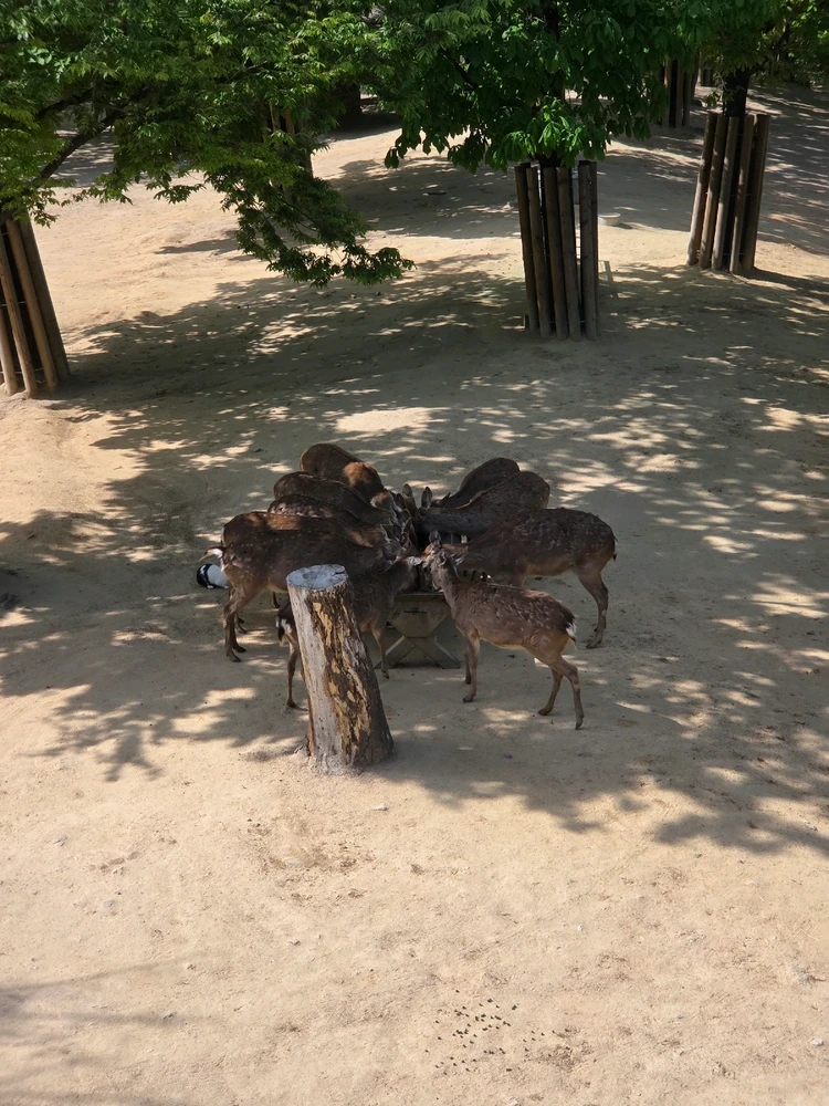 백구야님이 올린 사진