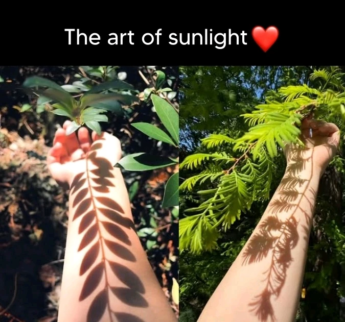 GIF uploaded by Andy