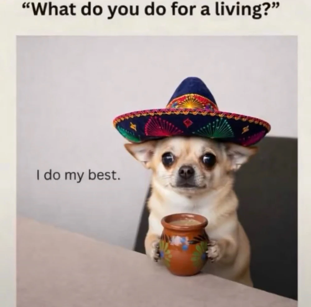 GIF hochgeladen von Flo