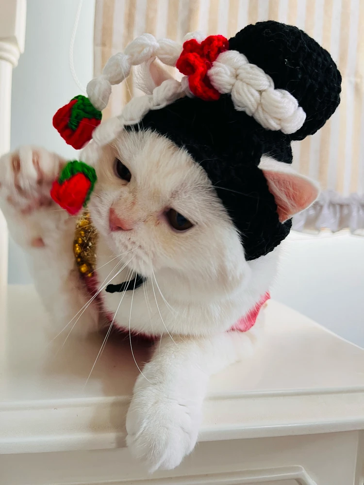Image uploaded by KM