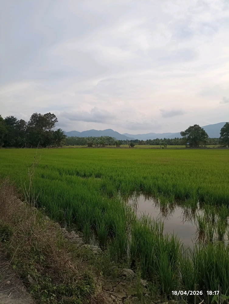 GIF uploaded by NUR