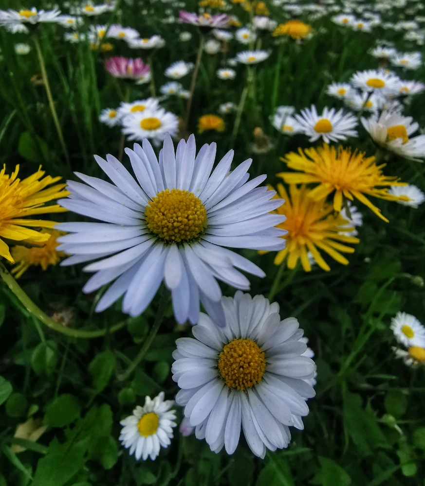 GIF hochgeladen von Martina
