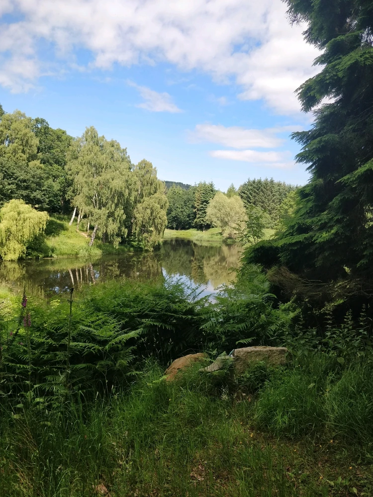 GIF uploaded by DezzieDee