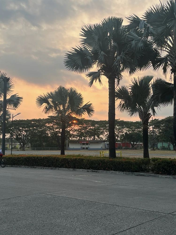 GIF uploaded by Jin
