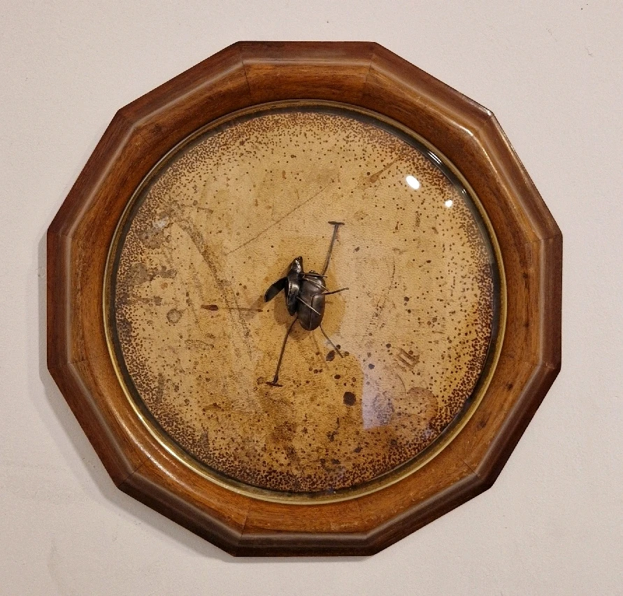 Image ajoutée par Clarence