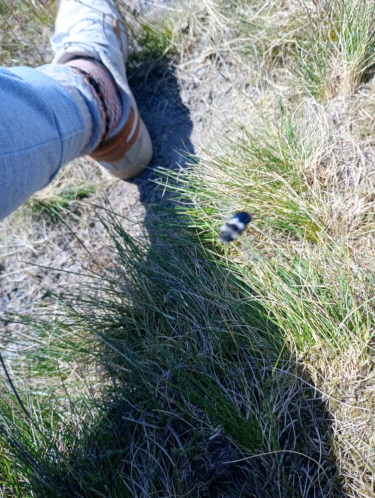 GIF uploaded by Elleinad