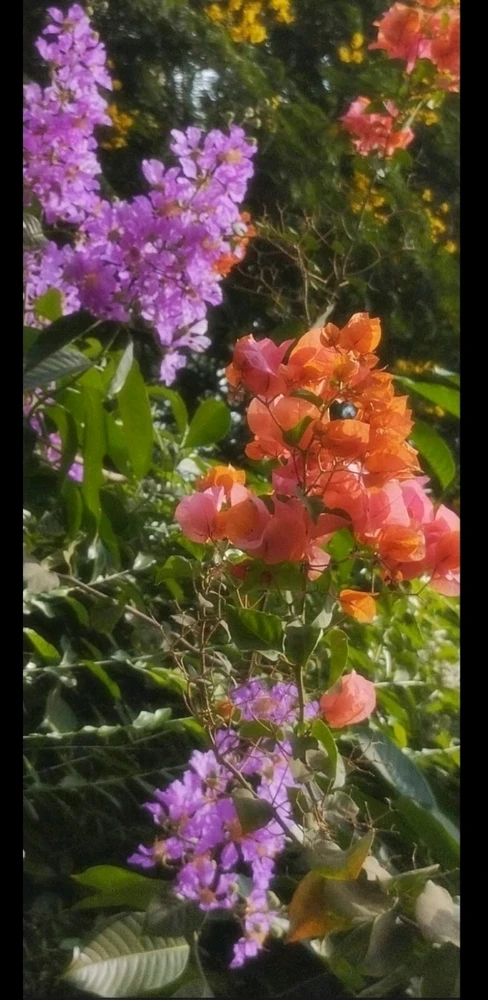 GIF uploaded by Miss K