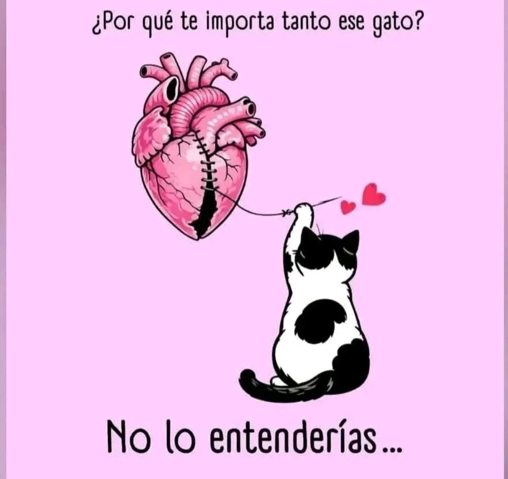 GIF subido por ❤ Sophia aka Mango Mami ❤️