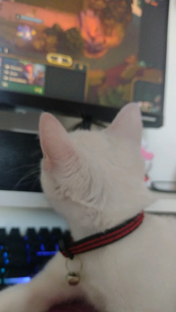 GIF enviado por Ari