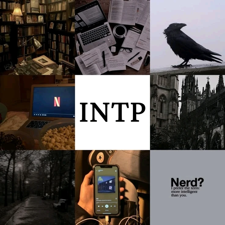 GIF subido por Ernesto