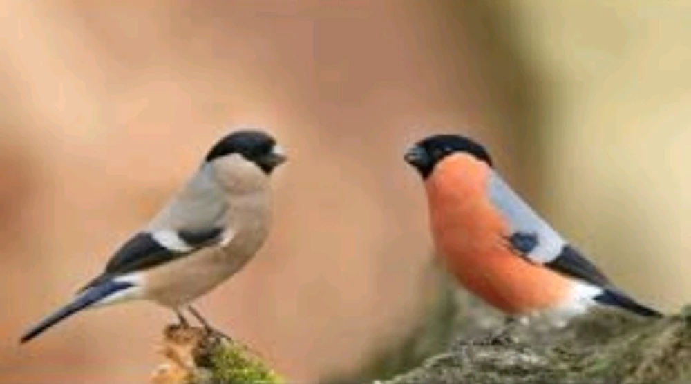 GIF uploaded by Margaret
