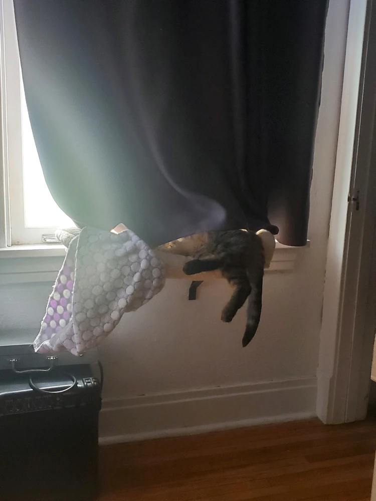 GIF uploaded by C