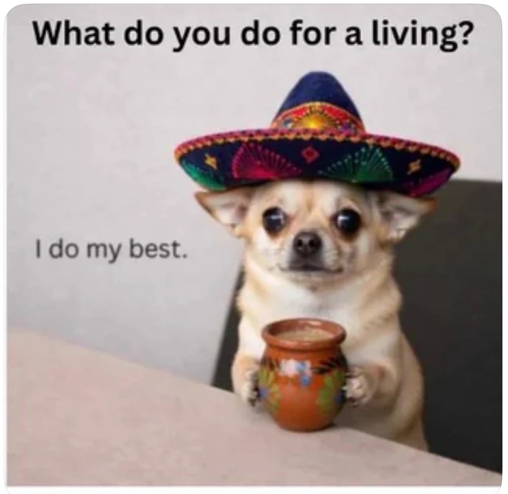 GIF uploaded by Jess