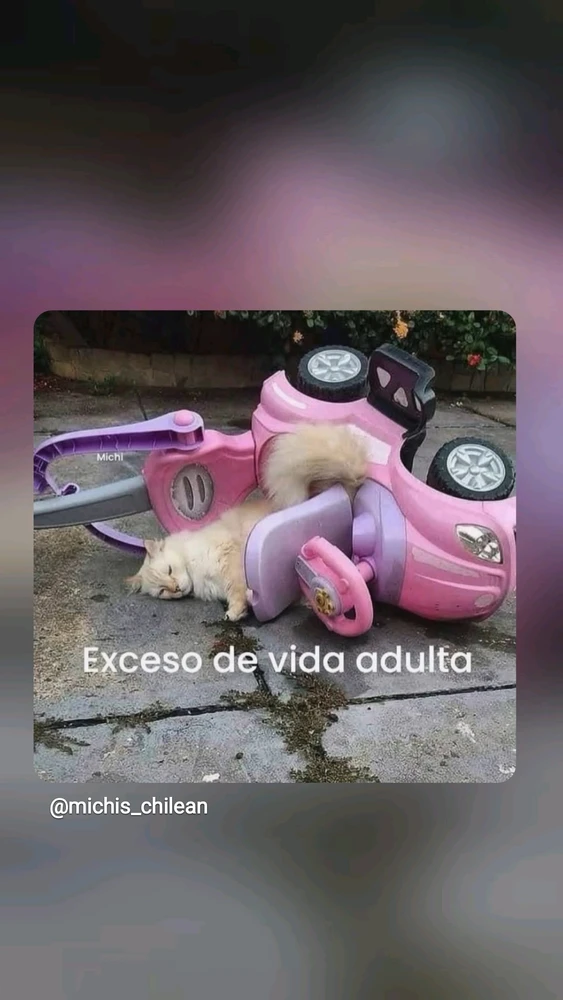 GIF subido por Patricia
