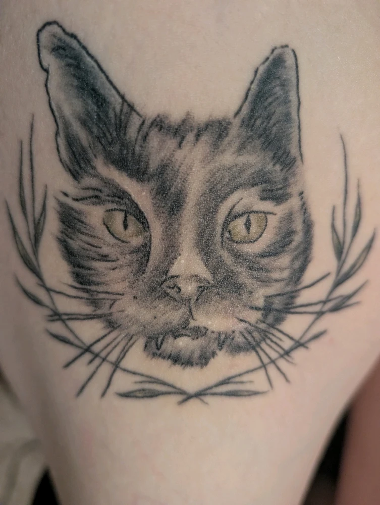 GIF uploaded by Steph