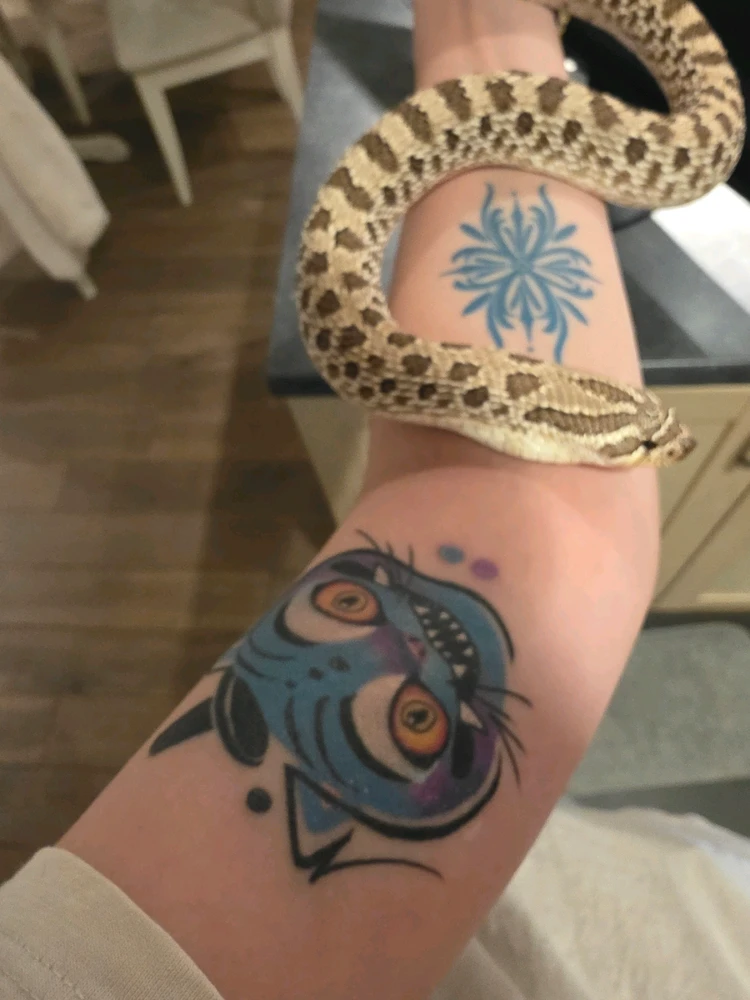 GIF uploaded by Joana