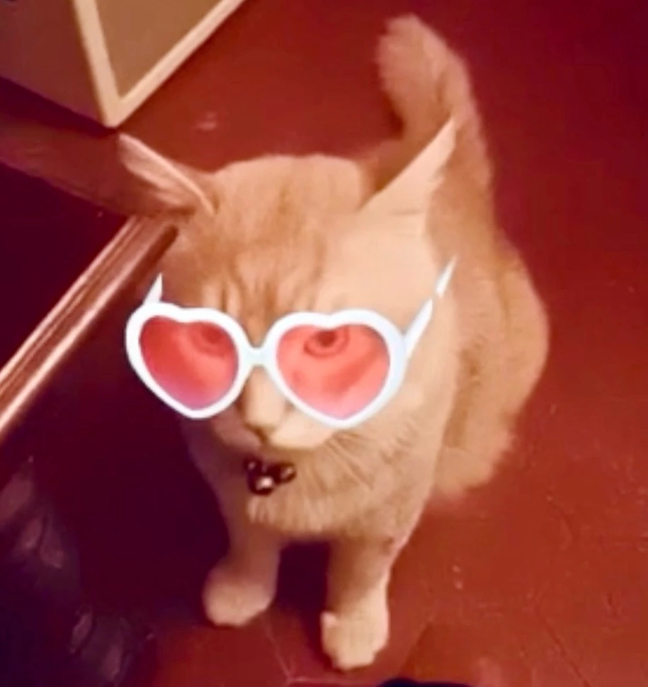 GIF ajouté par Micha