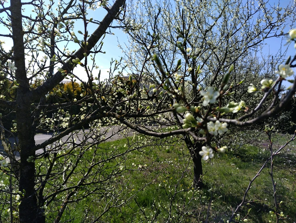 Image uploaded by Beata