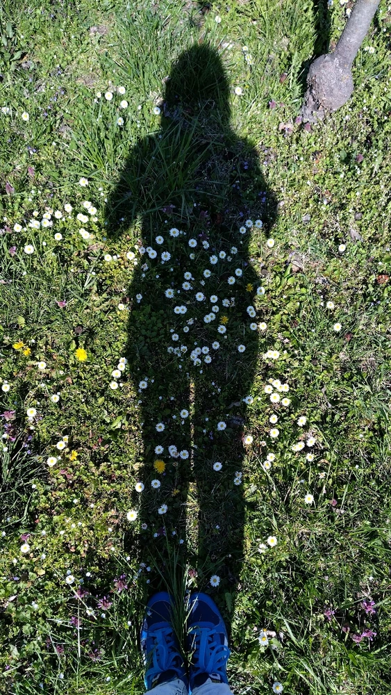 Image uploaded by Beata