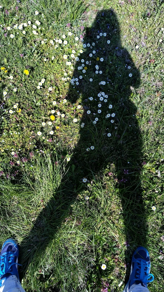 Image uploaded by Beata