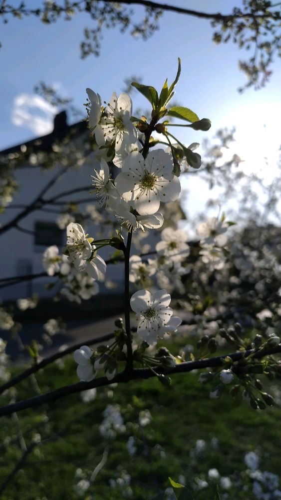 Image uploaded by Beata