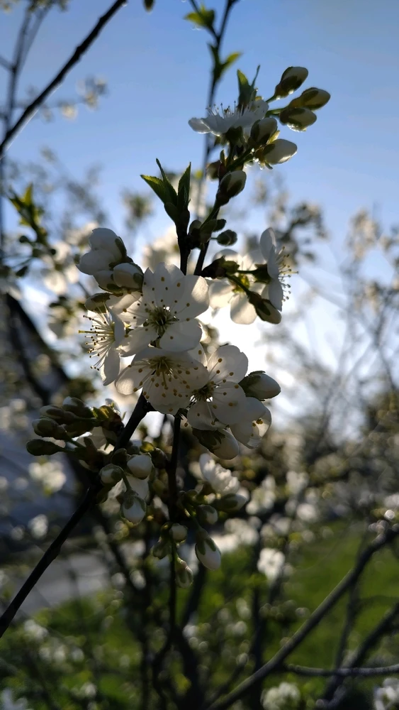 Image uploaded by Beata