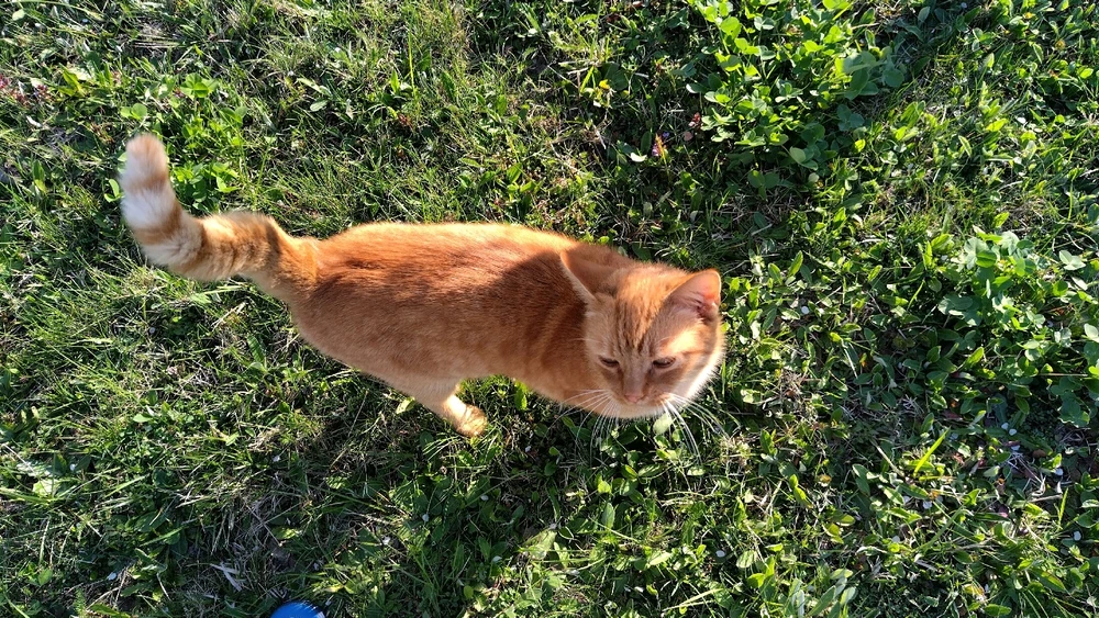 Image uploaded by Beata