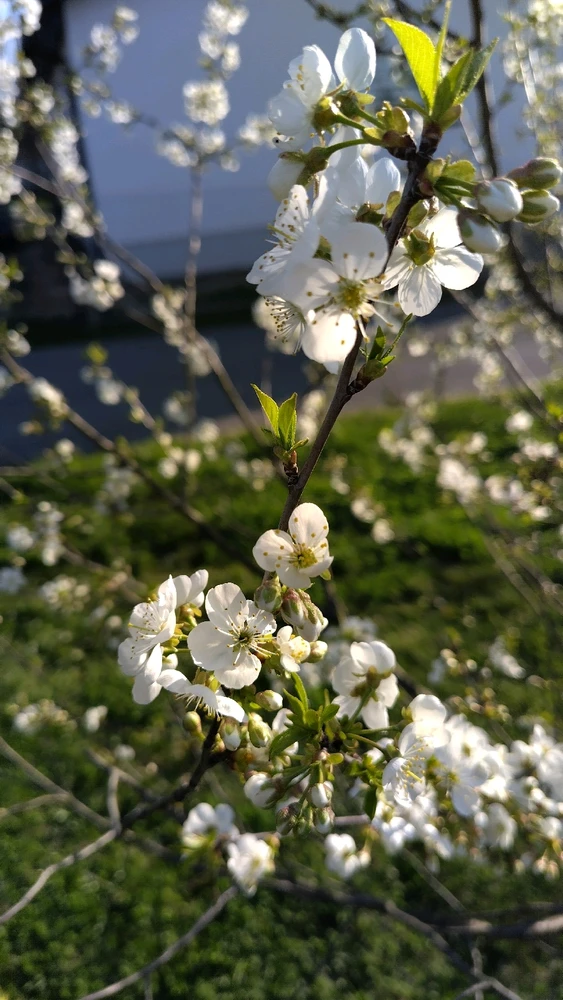 Image uploaded by Beata