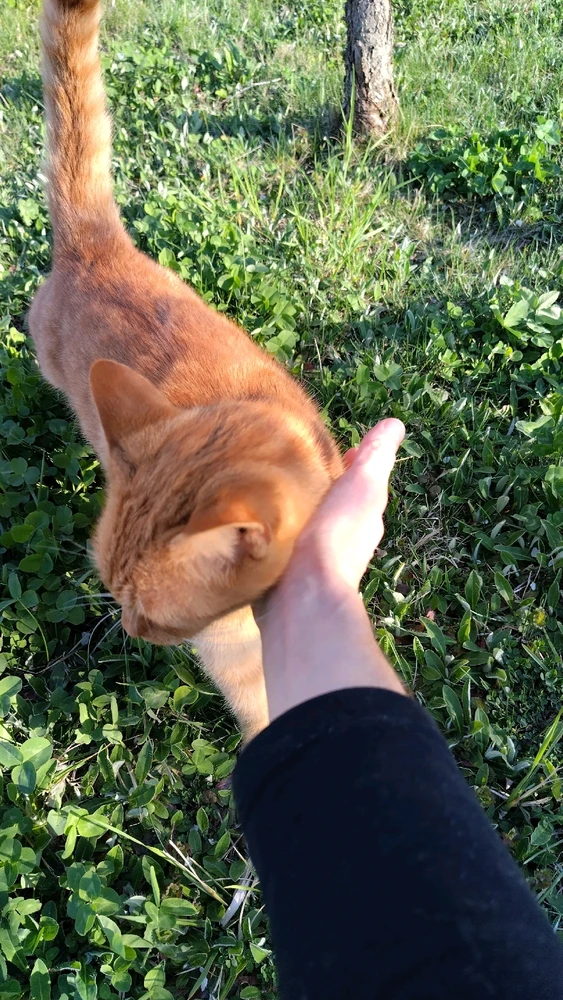 Image uploaded by Beata