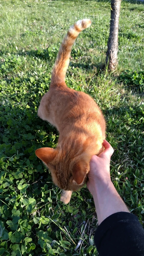 Image uploaded by Beata