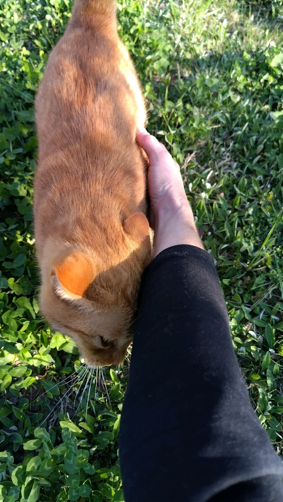 Image uploaded by Beata