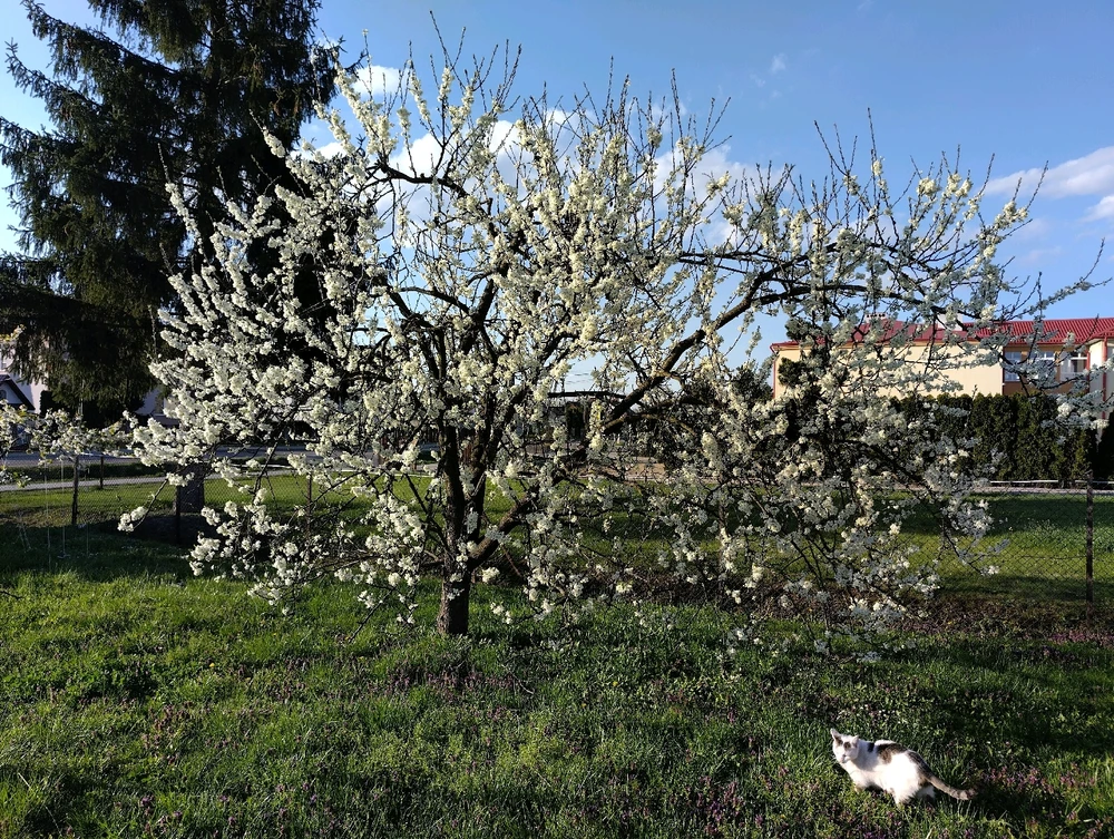 Image uploaded by Beata