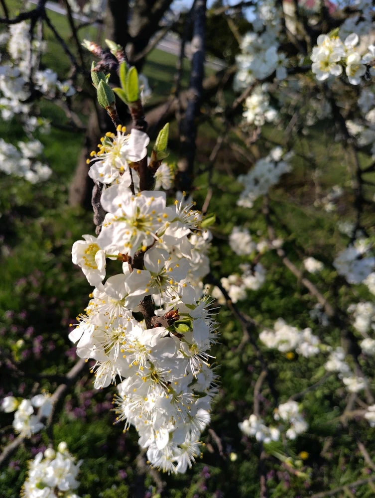 Image uploaded by Beata