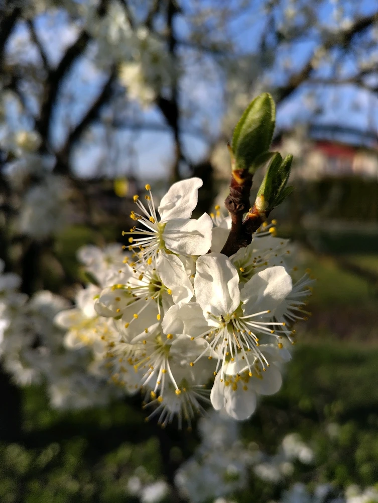 Image uploaded by Beata