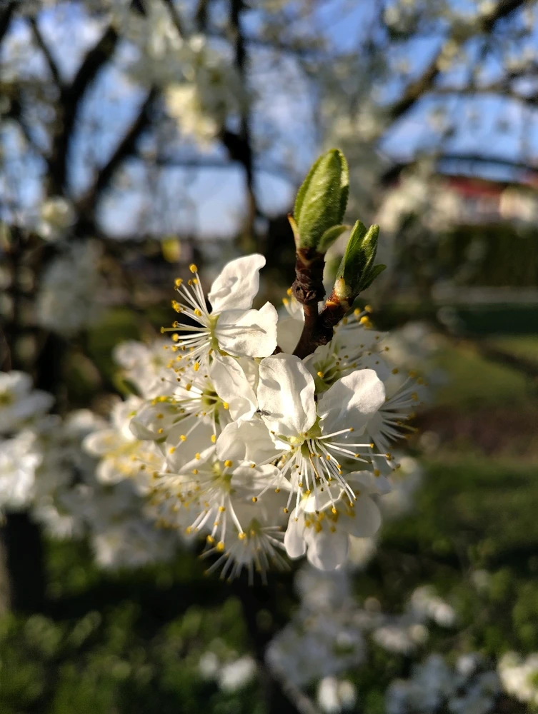 Image uploaded by Beata