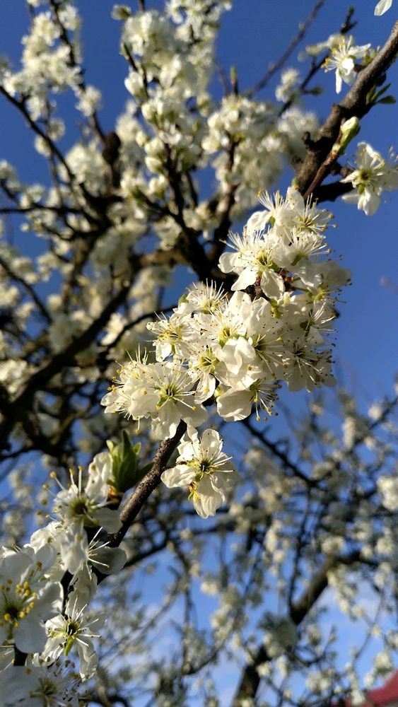 Image uploaded by Beata