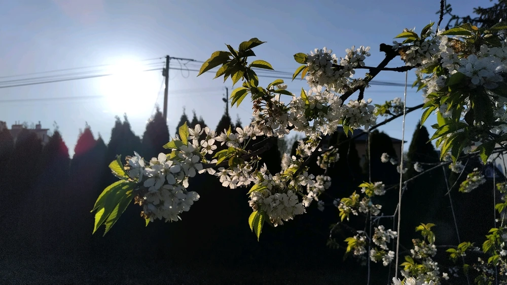 Image uploaded by Beata