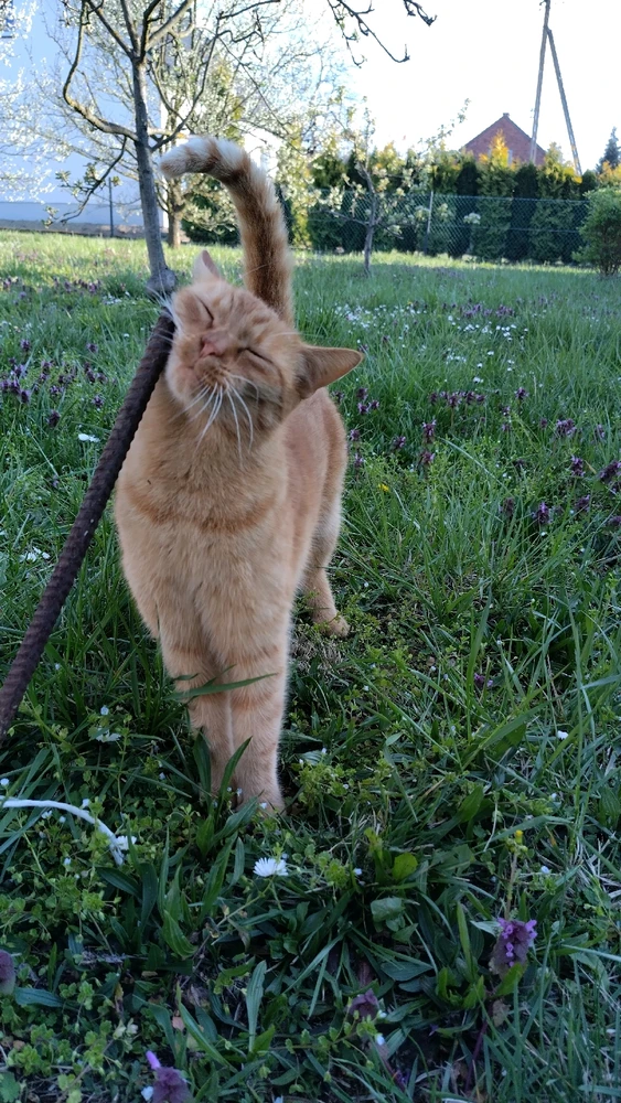 Image uploaded by Beata